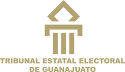 Escudo TEEG
